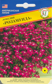 Лобелия розамунда