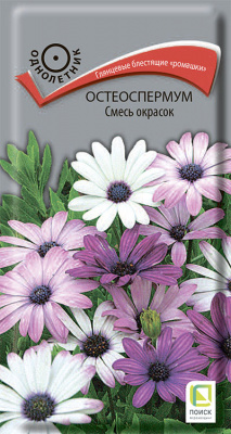 osteospermum smes okrasok