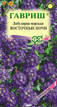 Лобулярия Восточные ночи