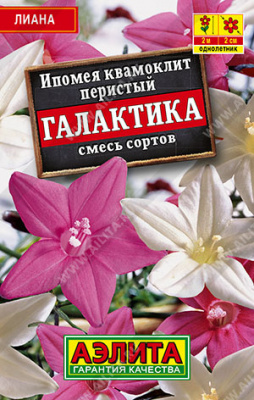 Ипомея Квамоклит Галактика Лидер