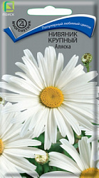 nivyannik_krup_alyaska