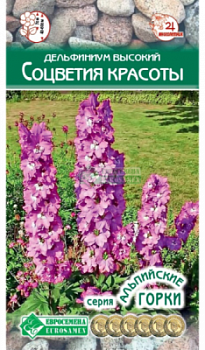 Дельфиниум высокий Соцветия Красоты