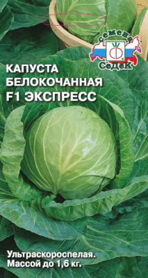 kapusta_ekspress_f1