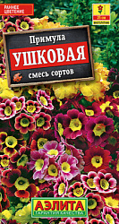 Примула ушковая, смесь сортов_ЦП