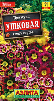 Примула ушковая, смесь сортов_ЦП