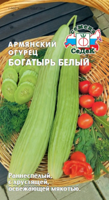 armyanskiy_ogurets_bogatyr_belyy
