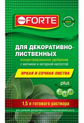 BF_sashe_2018-03_500