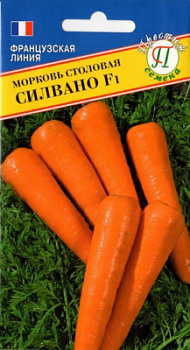 Морковь силвано