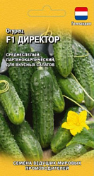 Директор