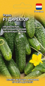 Директор