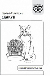 Скакун