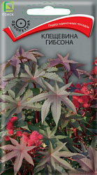 kleshevina_gibsona