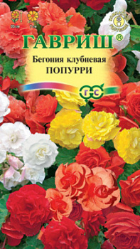 Попурри