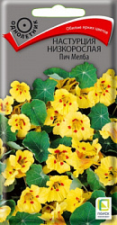 nastrucia_nizkorosl_pich_melba