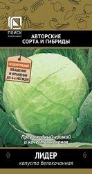 kapusta_belokoch_lider