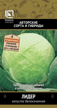 kapusta_belokoch_lider