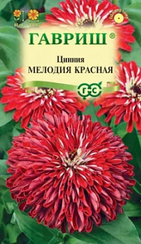 Цинния Мелодия Красная