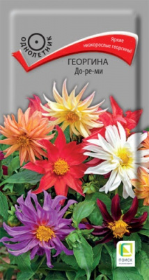 georgina_do_re_mi