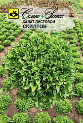 salat_listovoj_skilton