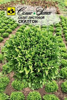 salat_listovoj_skilton