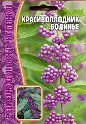 Красивоплодник