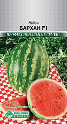 Арбуз Бархан