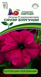 Петуния сауэр бургунди