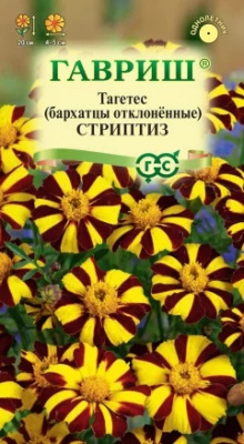 Бархатцы стриптиз