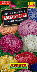 Астра Александрия