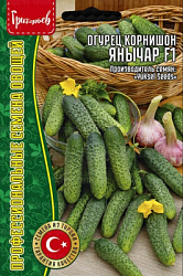Огурец Янычар