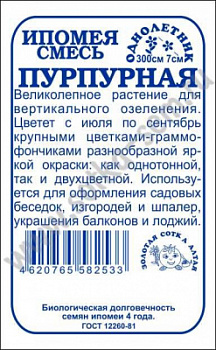 Ипомея Пурпурная