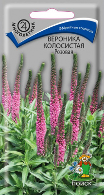 Вероника колосистая Розовая