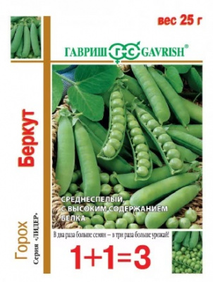 Горох Беркут
