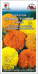 Бархатцы Прямостоячие