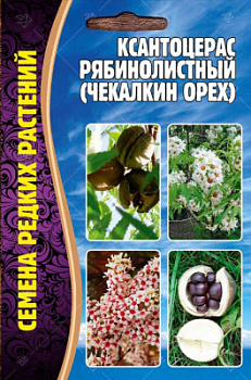 Ксантоцерас