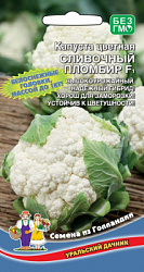 kapusta-cvetnaya-slivochnyy-plombir-f1