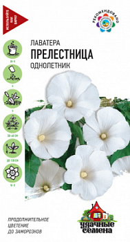 Прелестница