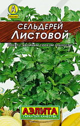 Сельдерей листовой