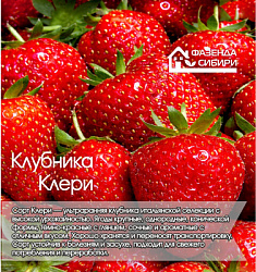 Клери