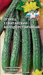 ogurets_kitayskiy_kholodoustoychivyy_f1