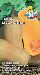 tykva_muskatnaya