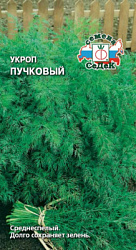 ukrop_puchkovyy