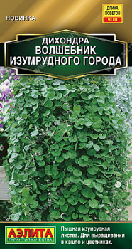 Дихондра Волшебник Изумрудного города