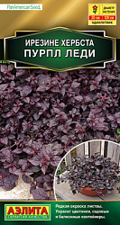Ирезине Пурпл леди_ЦП
