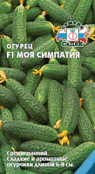ogurets_moya_simpatiya_f1