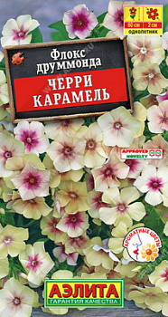 Флокс Черри карамель