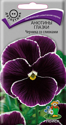 Анютины глазки Черника со сливками