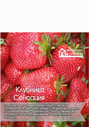 Сенсация