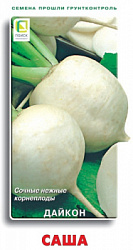 daikon_sasha