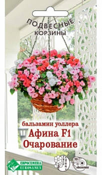 Бальзамин Афина